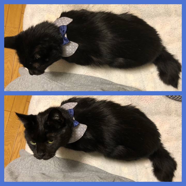 F11a5c14 9638 4c6e a7a2 7fc3d91ace6e 1572782060957