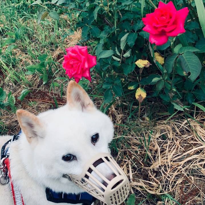 F11a6a7e 3a33 4b5f 9394 cbc09b3bfb93 1626816354421