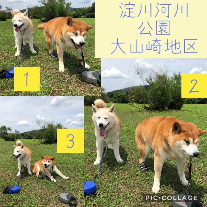 F11aaeaf 357c 4e61 8d58 a43af60f4f71 1592823048572