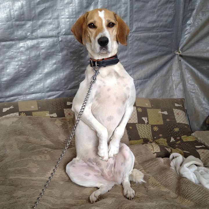 F11ae982 328f 414a b22f a7619fe8673a 1645624202524