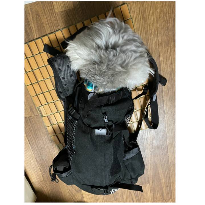 F11aff60 cb14 4875 b703 b9a84d4fcc22 1648965242256