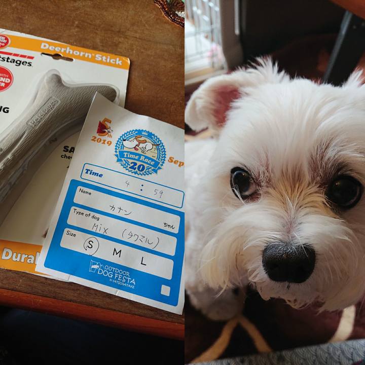 F11b4dec ad9b 4272 95ab b32fb9b9ac61 1569136256994