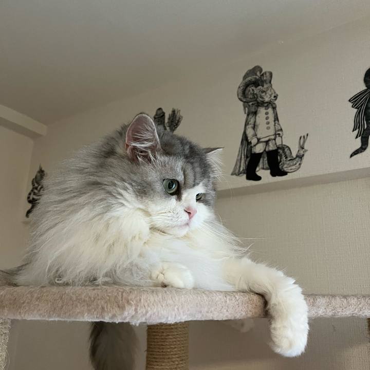 F11b5a5b c976 4d02 9da6 31f3803f4dc9 1675351305532