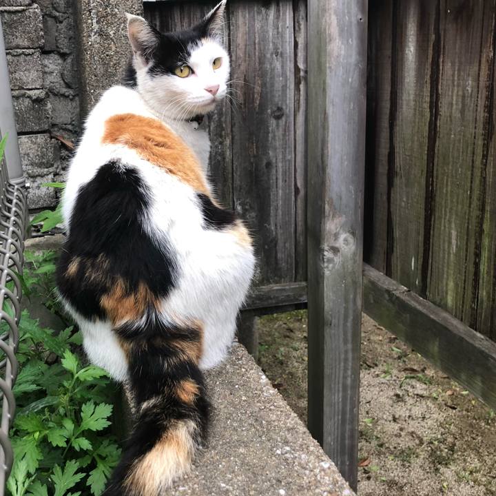 F11b8fb6 7d8f 46e5 9059 a8c34ddf4c43 1621031323546