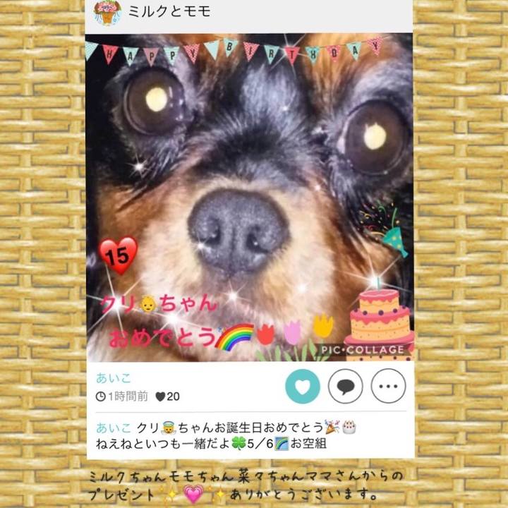 F11b923e 95bb 4618 936a a4c0ab694bae 1525697490070