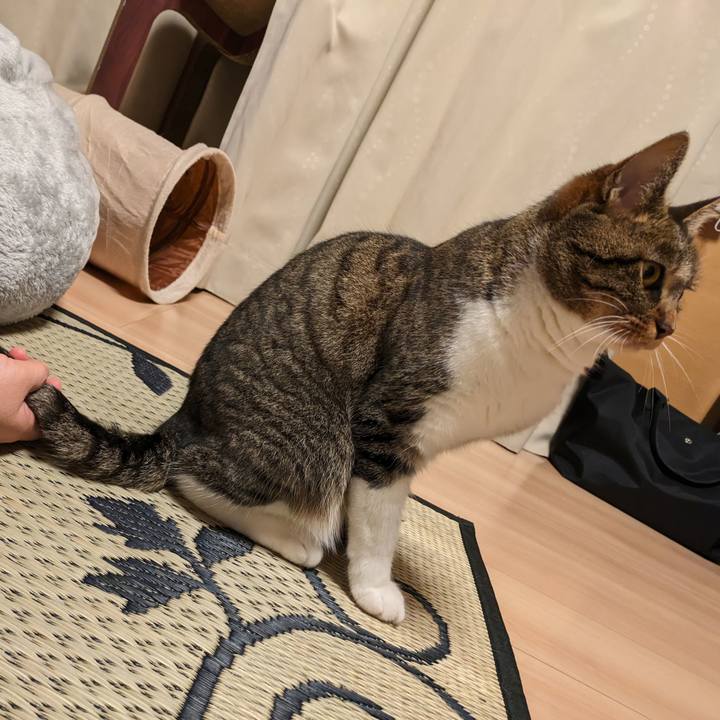 F11ba3c1 8dc6 4168 ac4c 3aa4570f161b 1687782401575