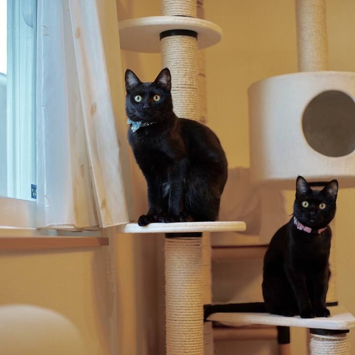 F11bd144 dcd0 4e34 94b1 a9564ba3f4a2 1514280343462