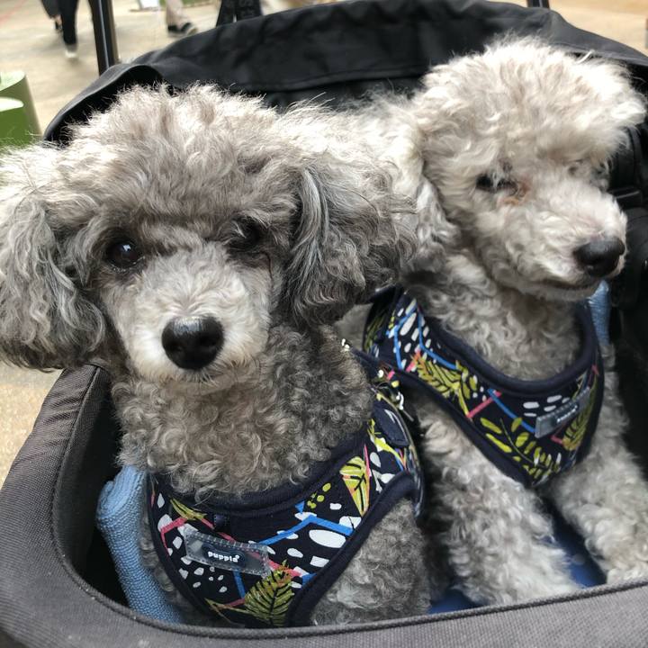 F11beef2 fd7f 4ded 9540 a404b3ca2922 1600774371851