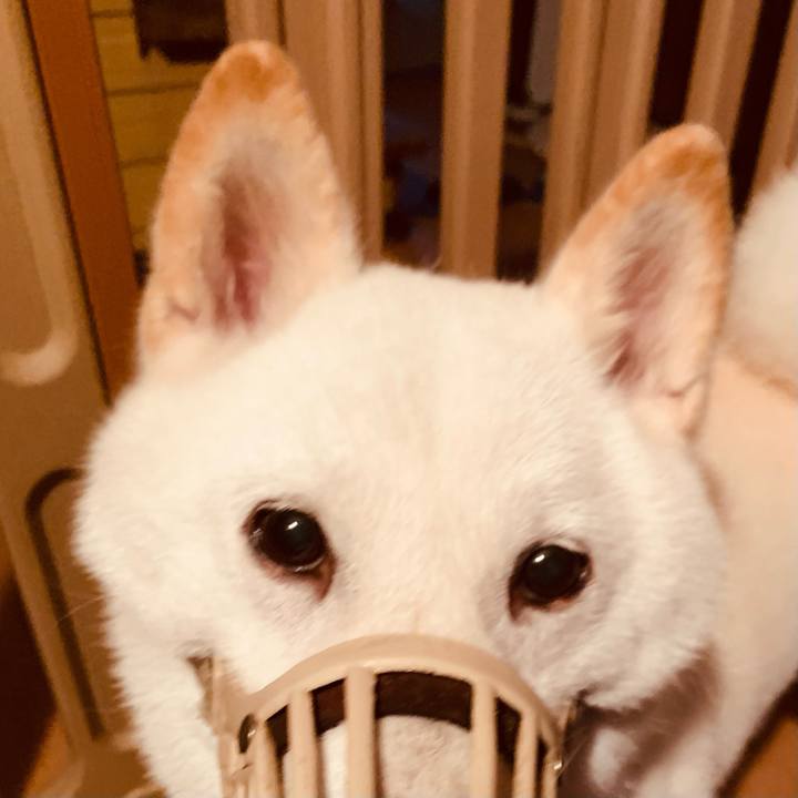 F11bfda9 c2e8 49b3 b216 94be8dce7159 1664312849293