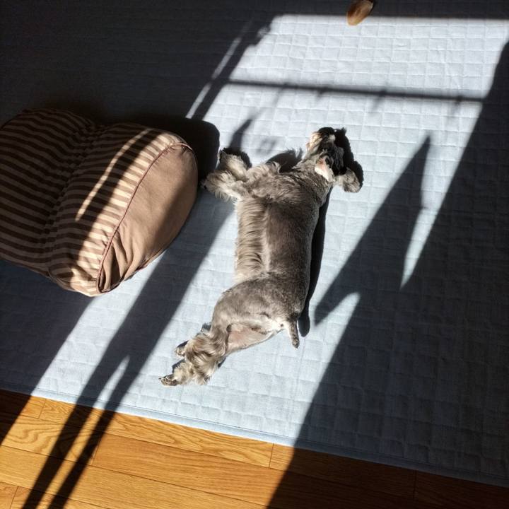 F11c071a 00e4 49bf 8152 a70b52e5d165 1762479597477