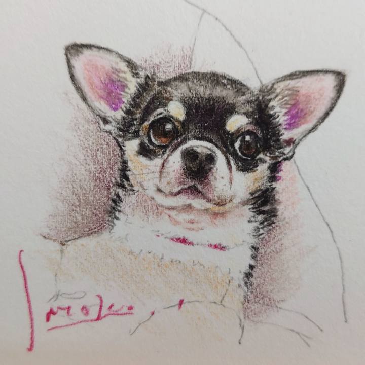 F11c5c63 c682 4a12 b111 abb3aaa8ad93 1626566705106