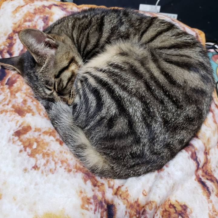 F11cbb51 05f0 4dc7 8441 b26b521c8c05 1542439417174