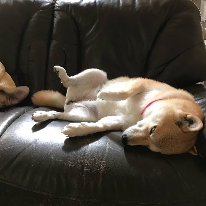 F11cbd75 637e 4844 bd68 c58a47de4e2a 1529994850785