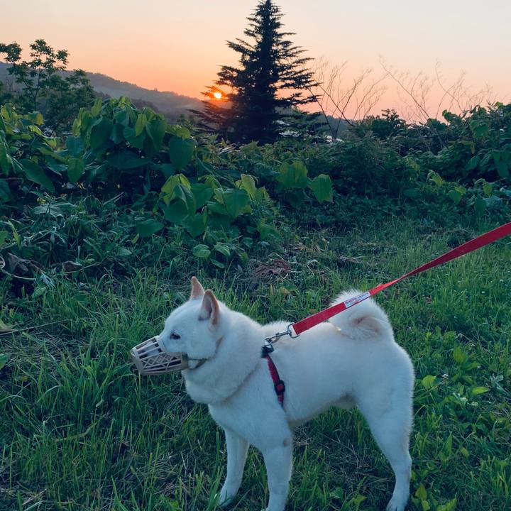 F11cd7db 8628 45a7 a1b5 f1144bab150d 1593807348967