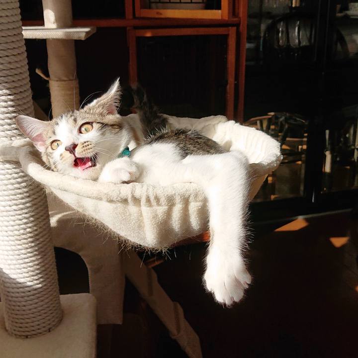 F11d20b7 4609 46f5 bb06 0f85e821e273 1544955692578