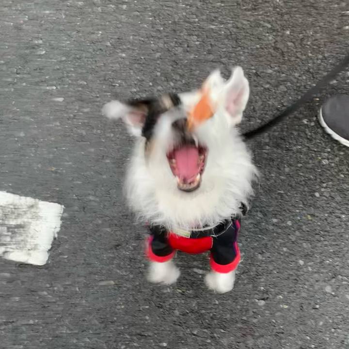 F11d42e0 866b 4239 b555 2c68ebb1f419 1679822402643