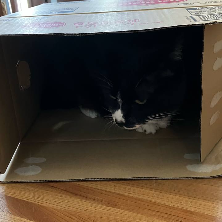 F11d52a4 d32f 44de b093 4adb6b48b079 1750756609705