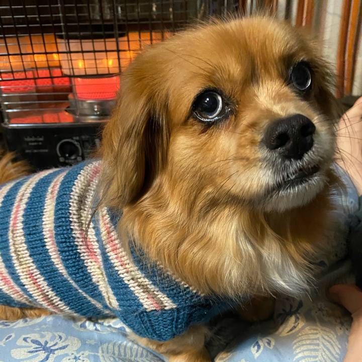 F11d6dd2 51f1 4653 8f9b 5380e217f9eb 1610573043098