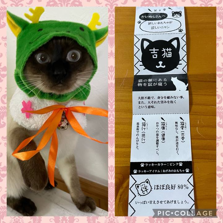 F11d7bdc 97f2 43f8 9613 1d0bac2c89ea 1704264444080