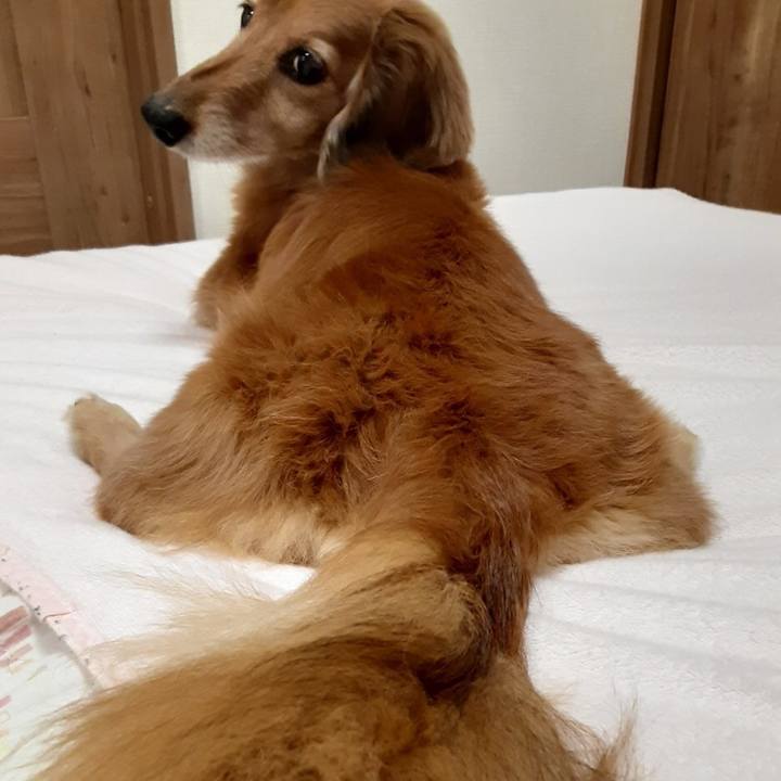 F11d81b2 b042 4f6f b776 4e00f4167bef 1617278953611