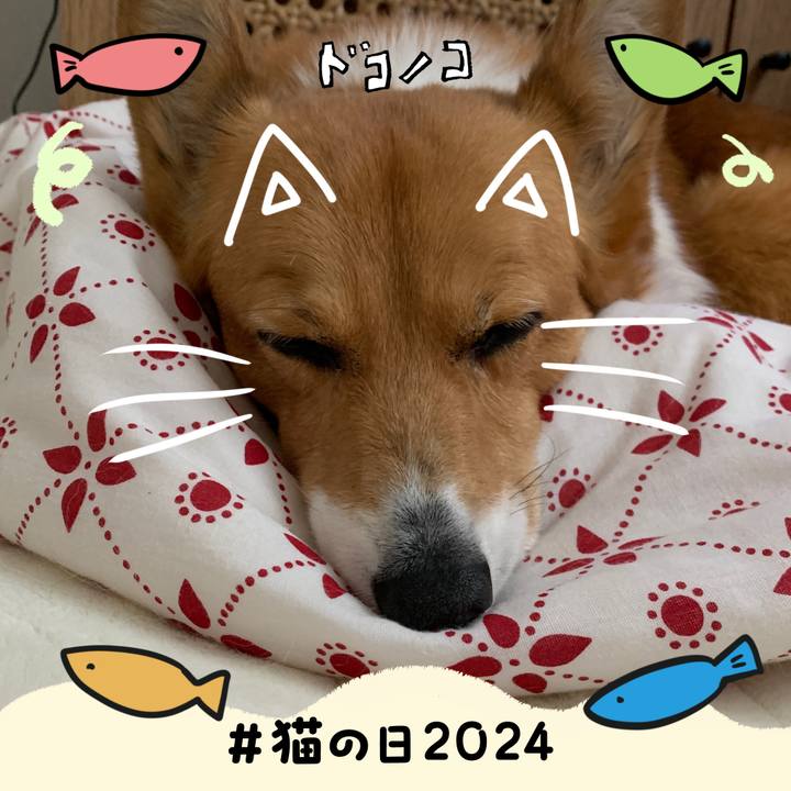 F11dc845 bdcb 4242 9fd2 cc733b4c2105 1708574351552