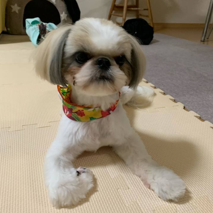 F11ddbee 694f 4954 a039 ede396534bf5 1577102539996