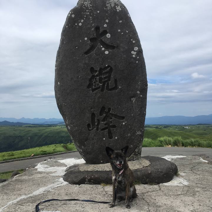 F11e84a3 3e4a 419a 9abd e3ca93a748c9 1535286922396