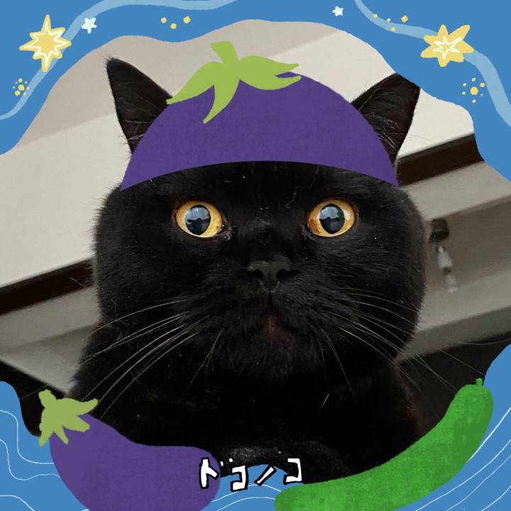 F11ebe89 64c9 4af5 86ac 7f5d992bc0d2 1755071495868