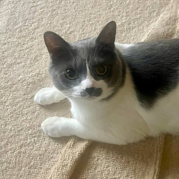 F11f3247 4184 4707 b899 4f6efeba285f 1719349698213