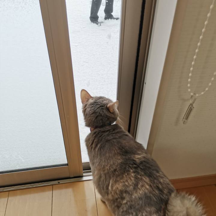 F11f3e3d 04b9 4fa6 a9f8 e4ae54a34ead 1613620329851