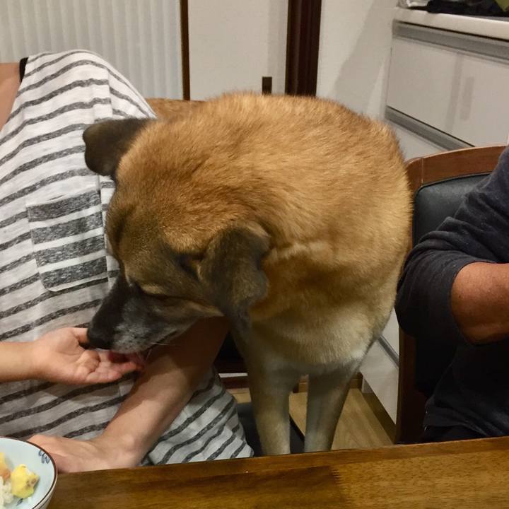 F11f4955 ecc2 43db af86 a4fe56db50a5 1507909674108