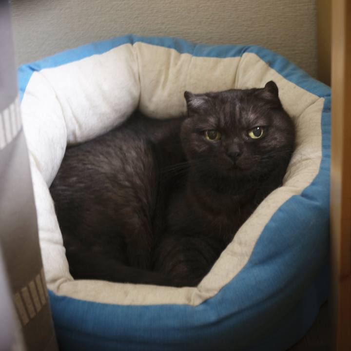 F11f50e2 2fb2 4aa9 b228 67915266fffb 1626789092974