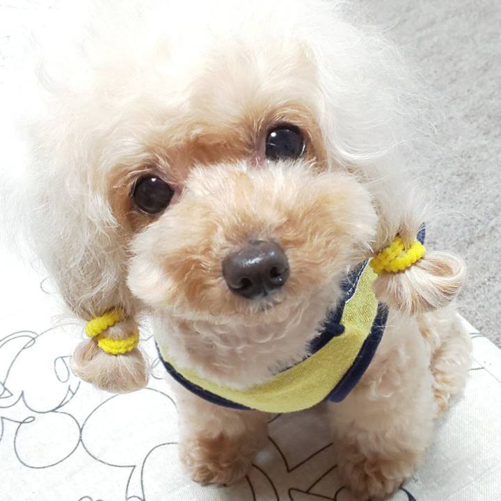 F11f5477 0a2c 4247 b04f 540ea21364f3 1590670182430