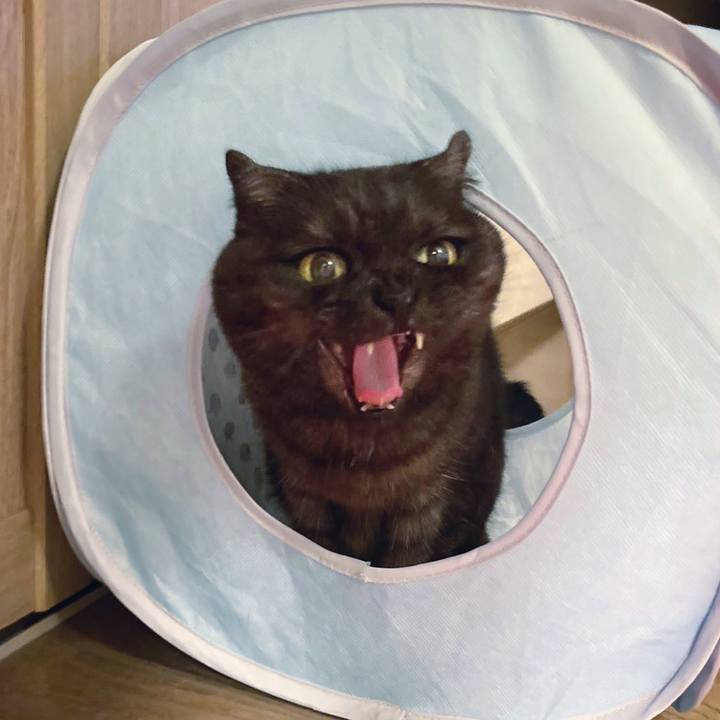 F11f5a20 62d3 4962 ad35 4adfaa07785e 1594032921881