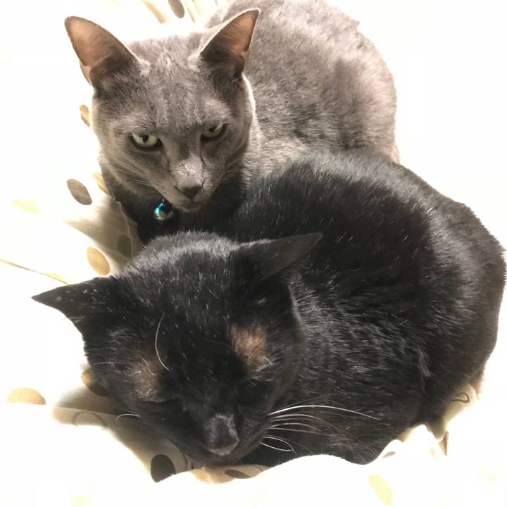 F11f7270 1ad8 41d0 ac79 e4c4fecf796a 1514195907234