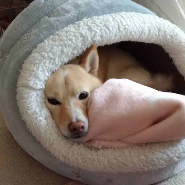 F11fd0a0 e3f5 479d 892a 48ec157c40b7 1615008162682