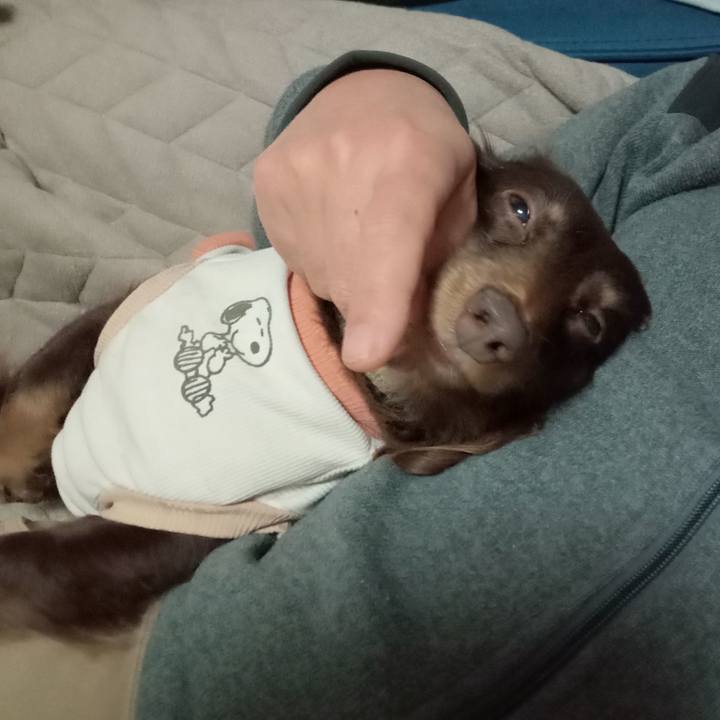 F120244d 3093 4625 a269 630cff10b4ee 1769897363623