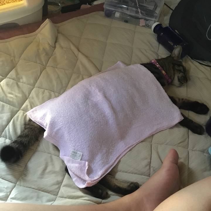 F1204aea af98 4c5b 9667 6be54c4aec85 1564938096522