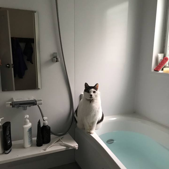 F120a1f0 a72a 46cc b63c 31e9f925d8de 1546047012922