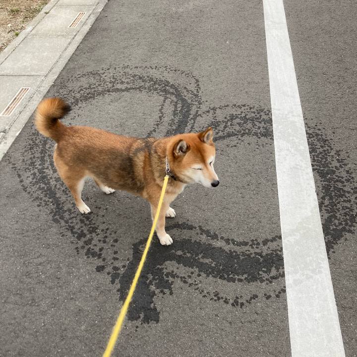 F120afc0 7a36 44e1 a6af e76505b309d4 1646122629139