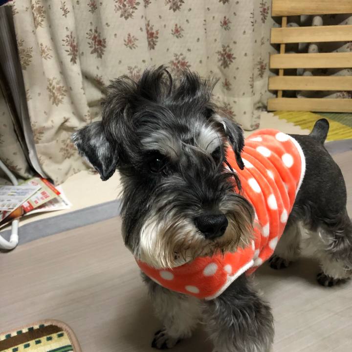 F120bff1 e1a7 4509 b1e2 602fa1ccae40 1607263536120