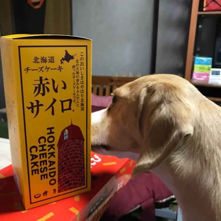 F120cf97 ecfa 4127 a78f d07264f876b7 1520038626256