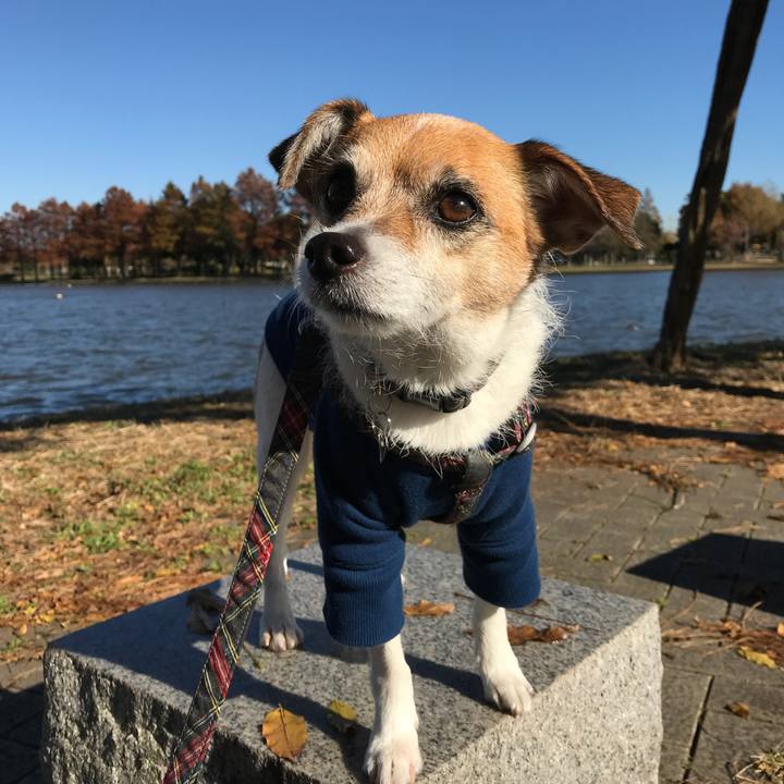 F120e0f4 f6c8 471a 82d6 93012000d532 1575342477836