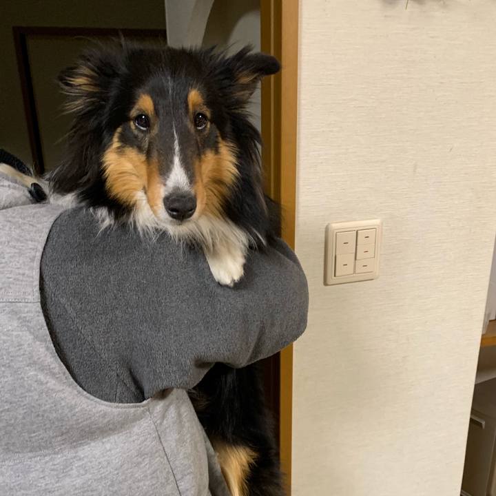 F120e857 c9a6 4e3b a7b0 9152a97eb76e 1553384994994