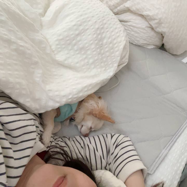 F120ef5b 2c65 486e b319 5ecd0b528095 1731410677909