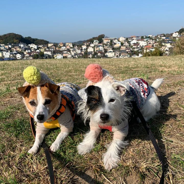 F120f967 2c90 4f5a a289 8d9f62920df5 1605401354654