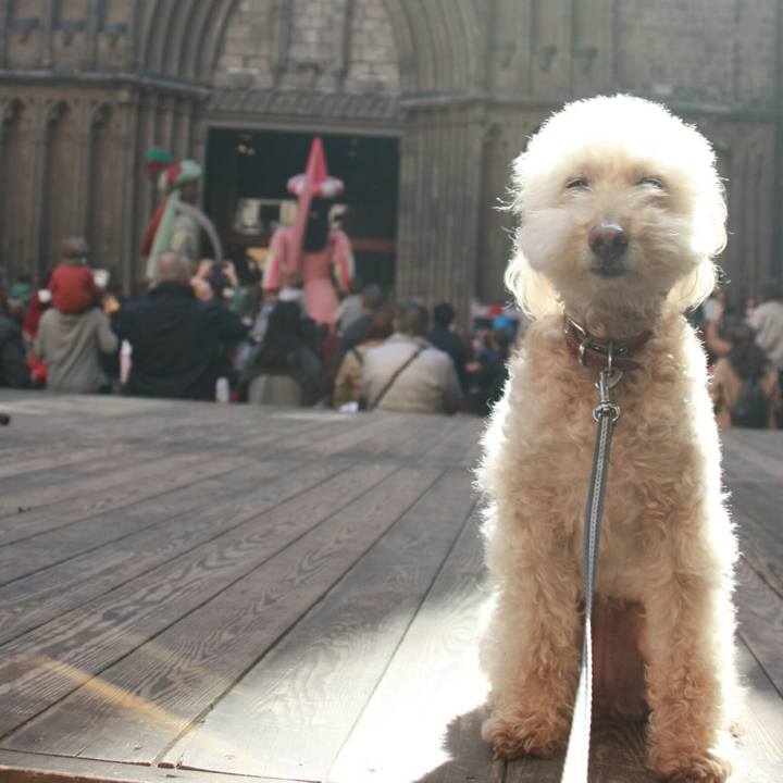 F12109a6 bc91 4929 a752 bb53f377b0d8 1552976809130