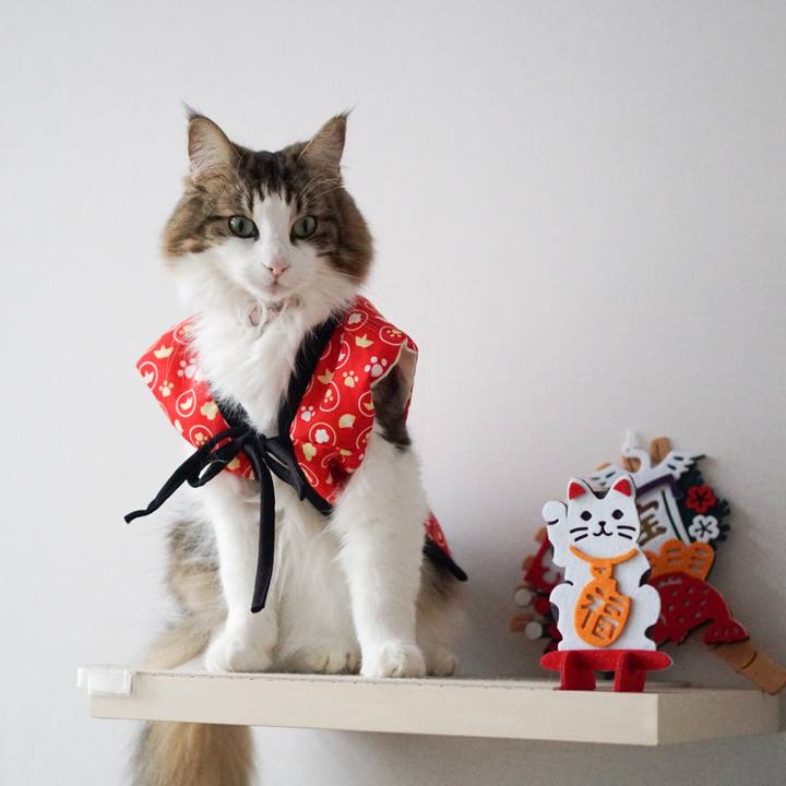 F1212da1 462b 49ce 9faf c9acb502f079 1577842167912