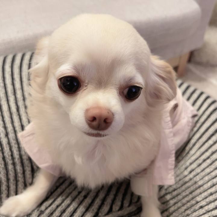 F12147a3 39bc 4293 a9ee 663a16ea78eb 1728725186713