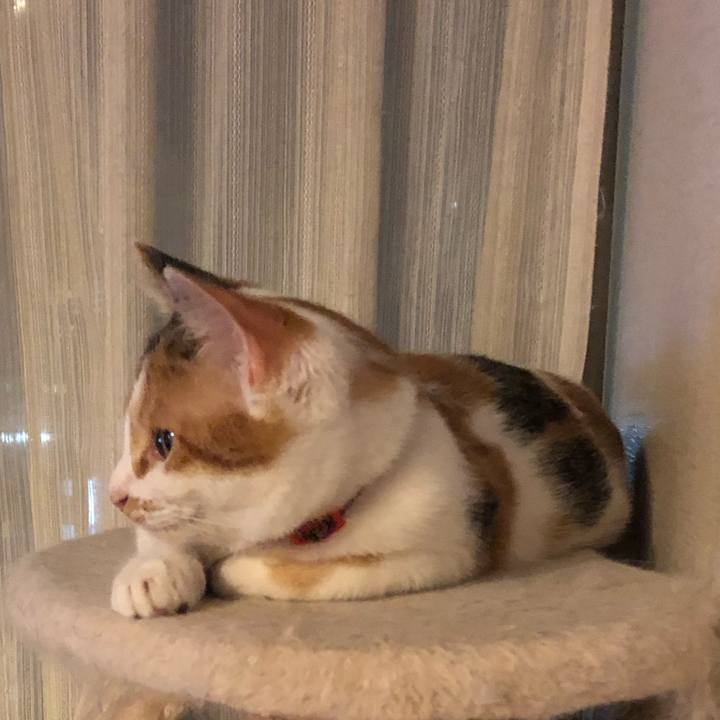 F121521f 247b 45c1 9358 8ab1b51338cd 1571233890554